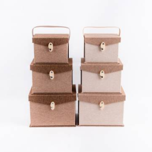 Set Cajas X3PCS c/Tapa Manija y Broche 22X16/19X14/36X12CM