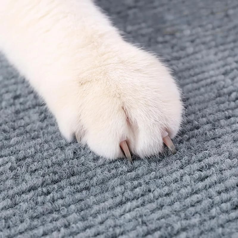 Rascadora Recortable Autoadhesiva Para Gatos 60x60 - Image 7