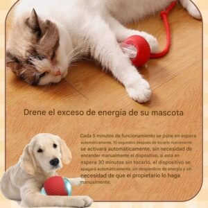 Pelota Interactiva Automática