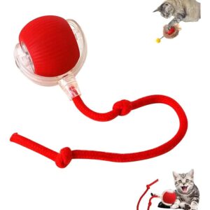 Pelota Interactiva Automática